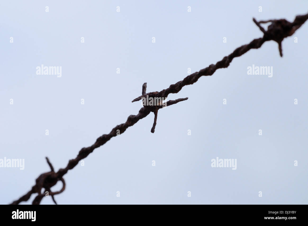 Wire tag hi-res stock photography and images - Alamy