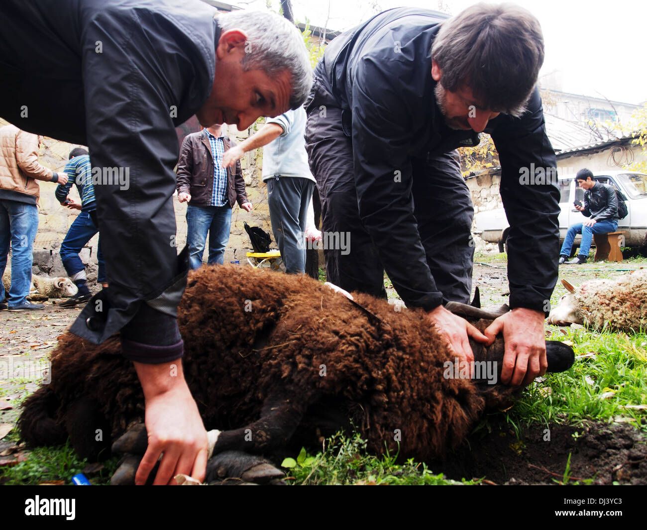 men slaughters a ram to celebrate Eid Al-Adha Stock Photo