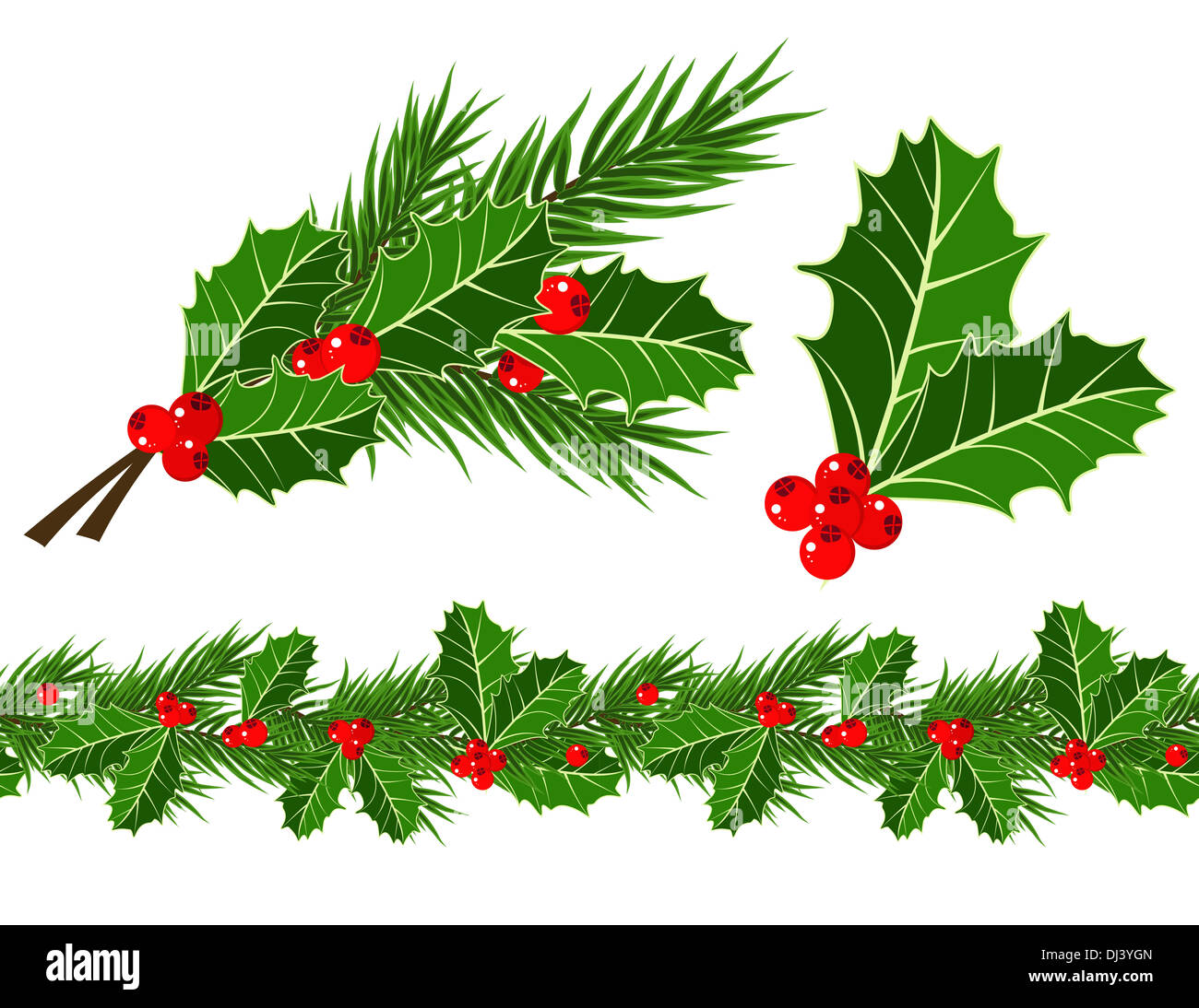 holly leaves and berries Stock Photo - Alamy