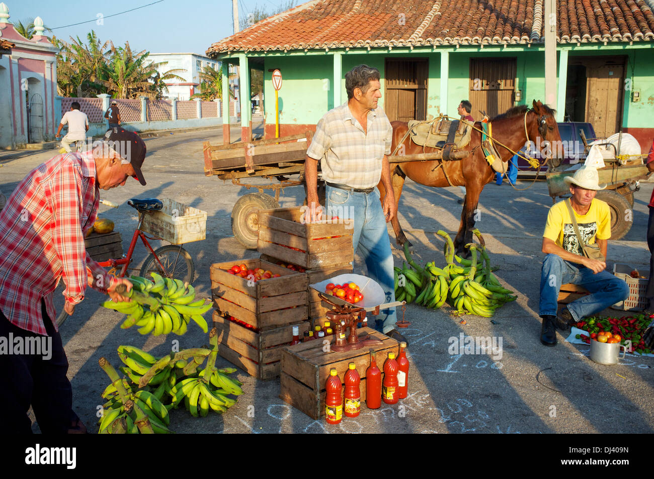 Farmer's market, Gibara, Cuba Stock Photo Alamy