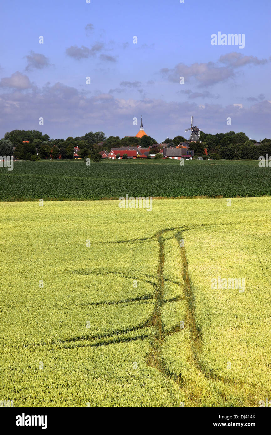 Executor tracks in the wheat field Stock Photo
