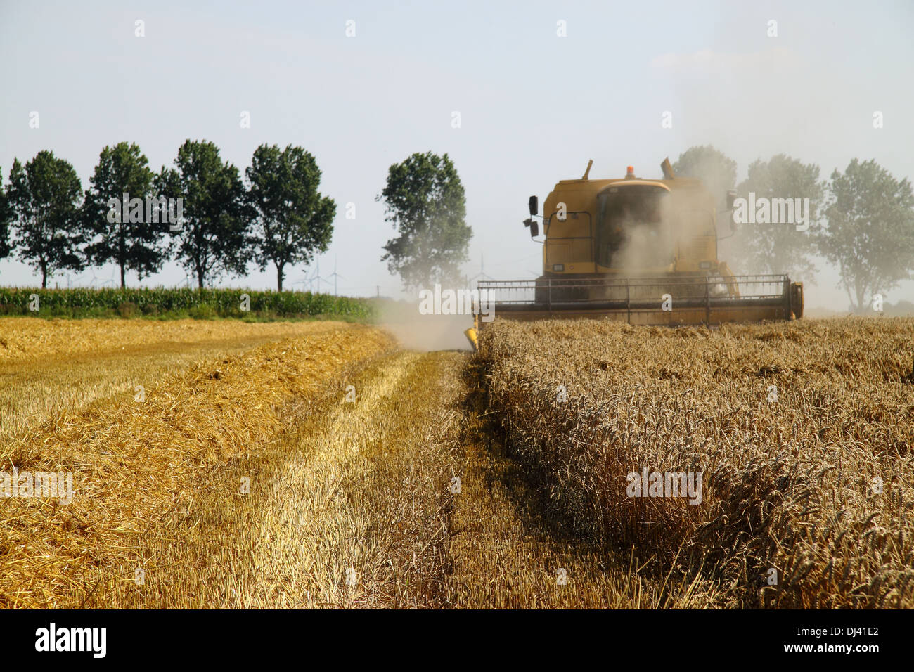 Combines in action Stock Photo