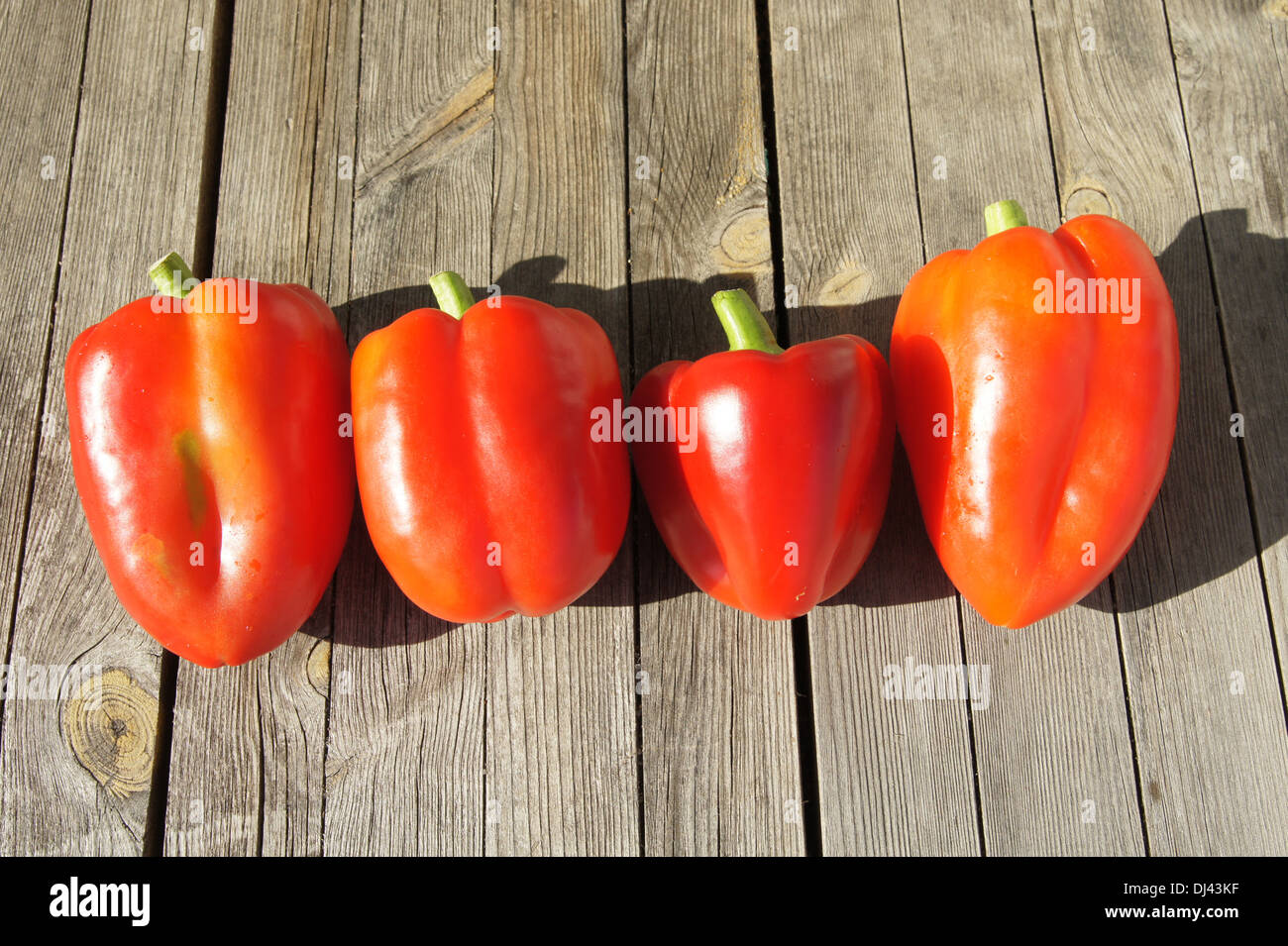 Paprika capsicum annuum hires stock photography and images Alamy