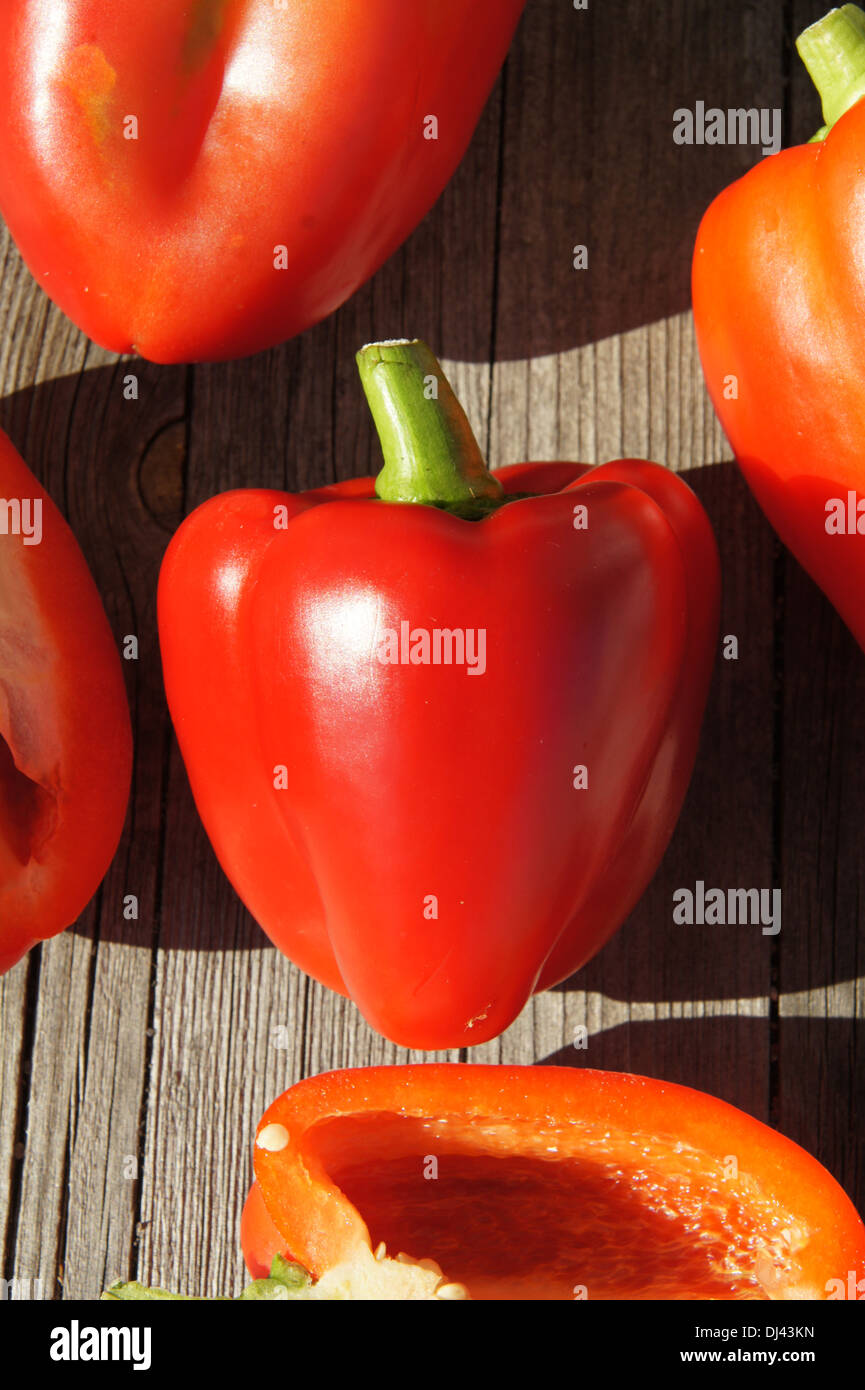 Capsicum annuum, Paprika, red pepper Stock Photo Alamy