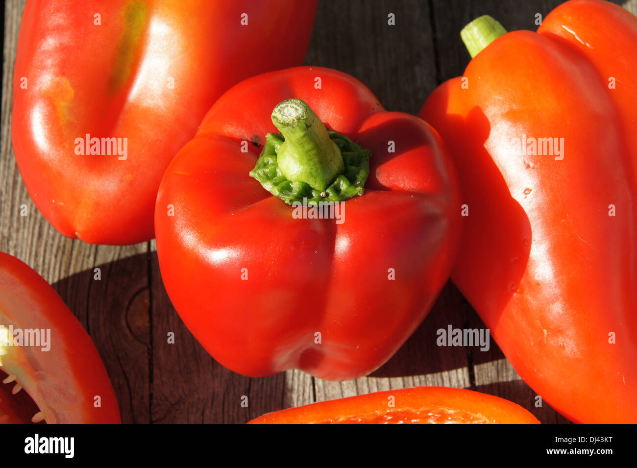 Capsicum annuum, Paprika, red pepper Stock Photo Alamy