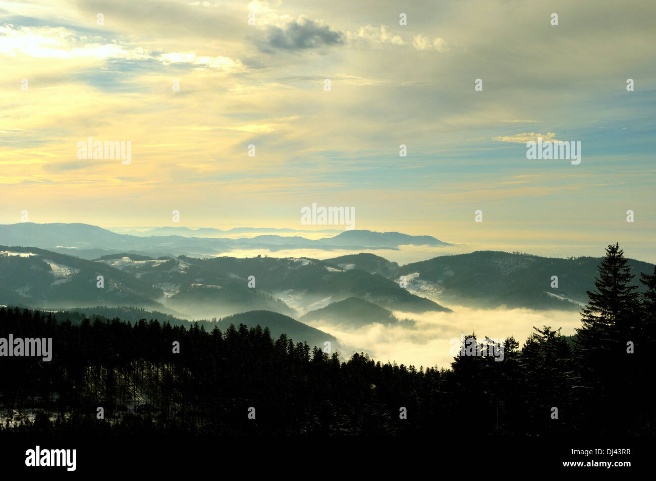 Fog valleys in the Black Forest Germany Stock Photo