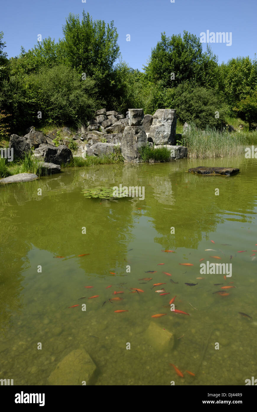 Pond in Murnau Stock Photo