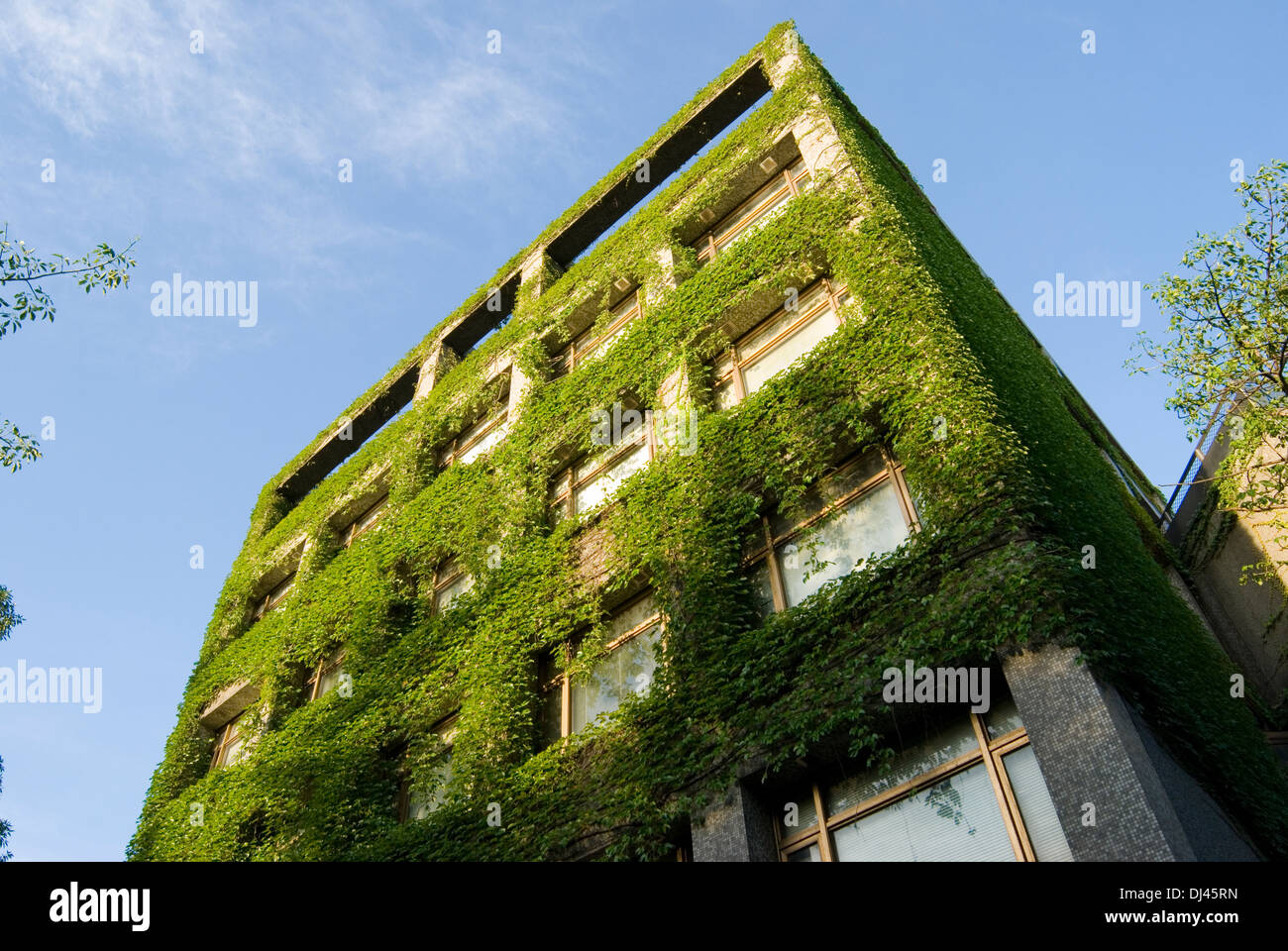 Real plants hires stock photography and images Alamy
