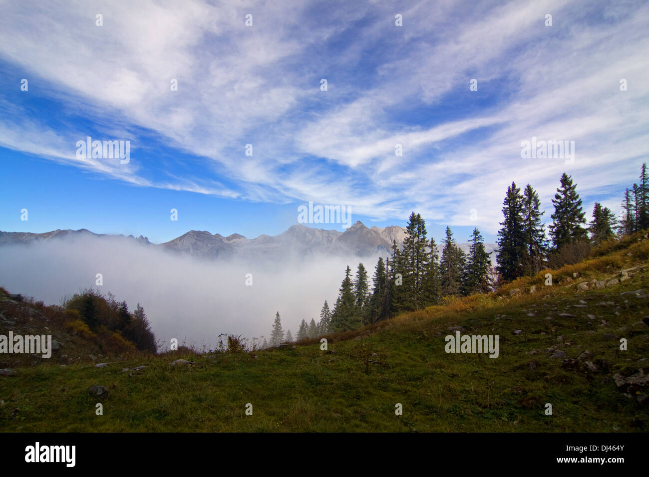 Ridge of the Säntis Stock Photo - Alamy