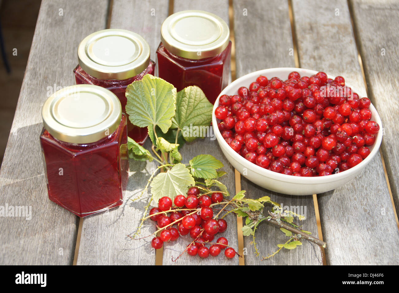 Redcurrant-Jam Stock Photo