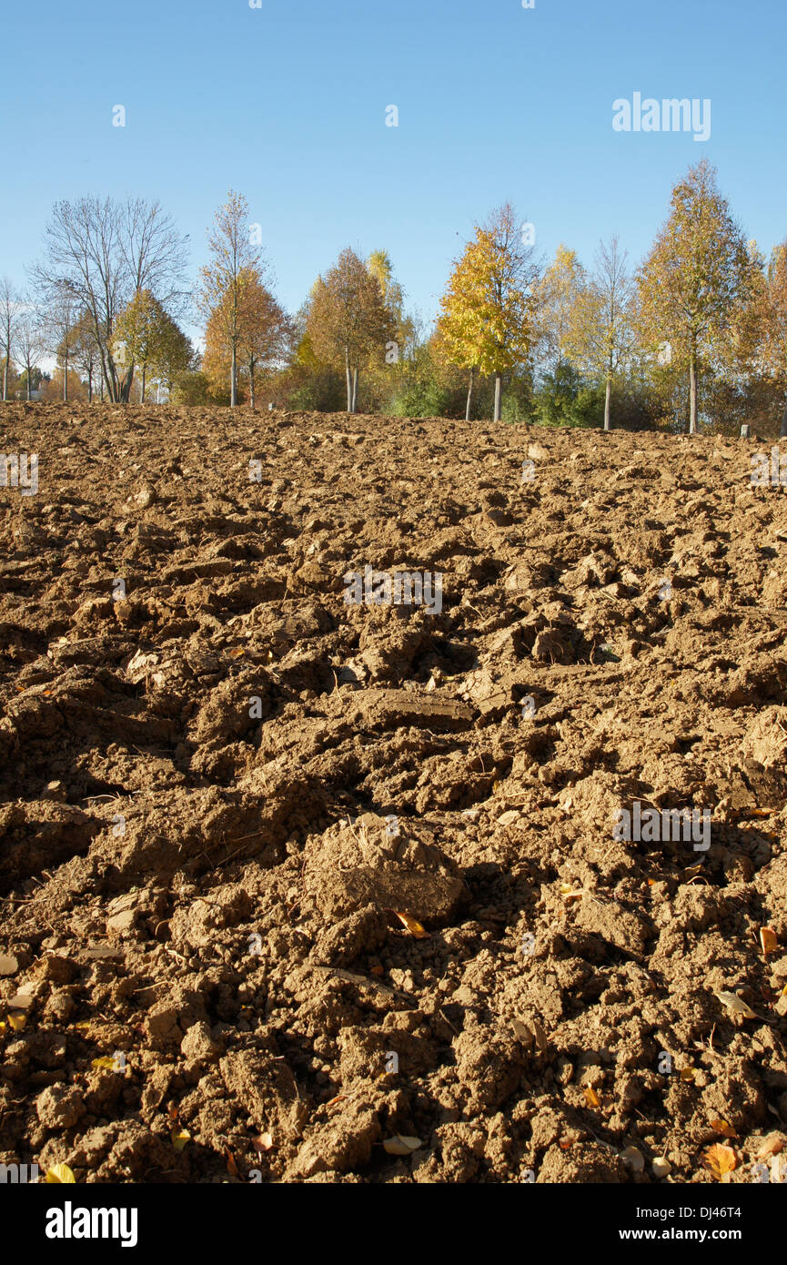 Gepflügter Boden, ploughed soil Stock Photo