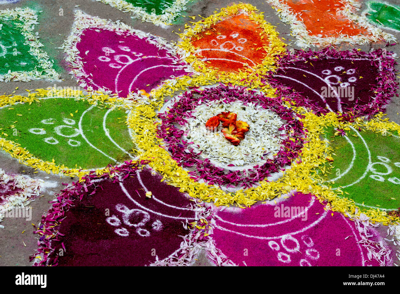Rangoli Designs With Flowers And Colours