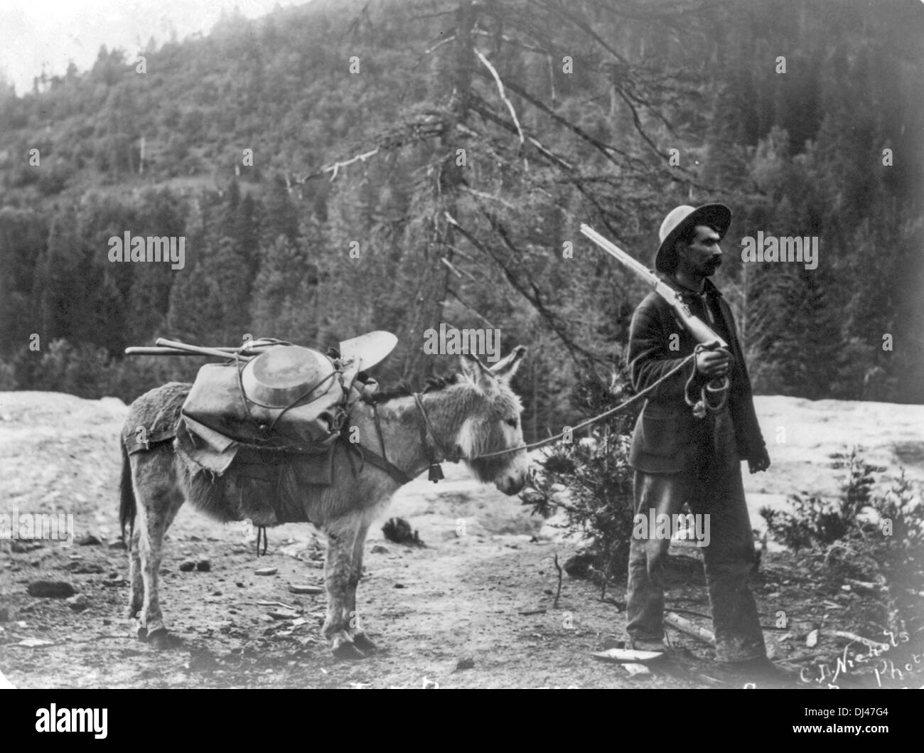 Prospector with pony and supplies, USA Stock Photo