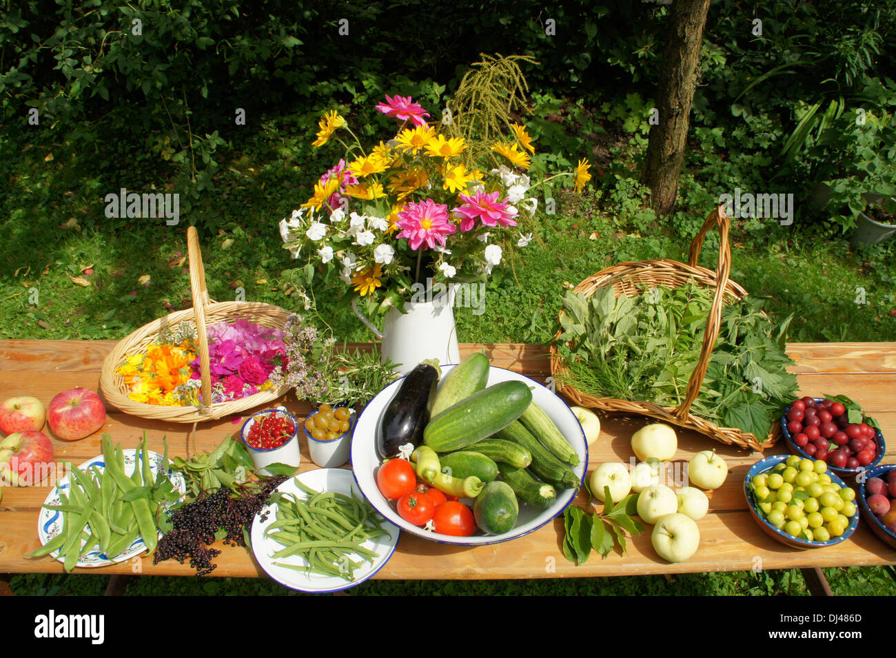 Vegetables, Fruits, Flowers, Herbs Stock Photo Alamy