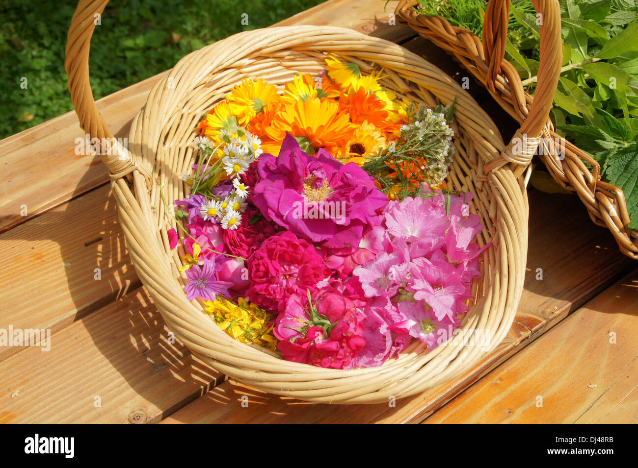 Culinary Flowers Stock Photo