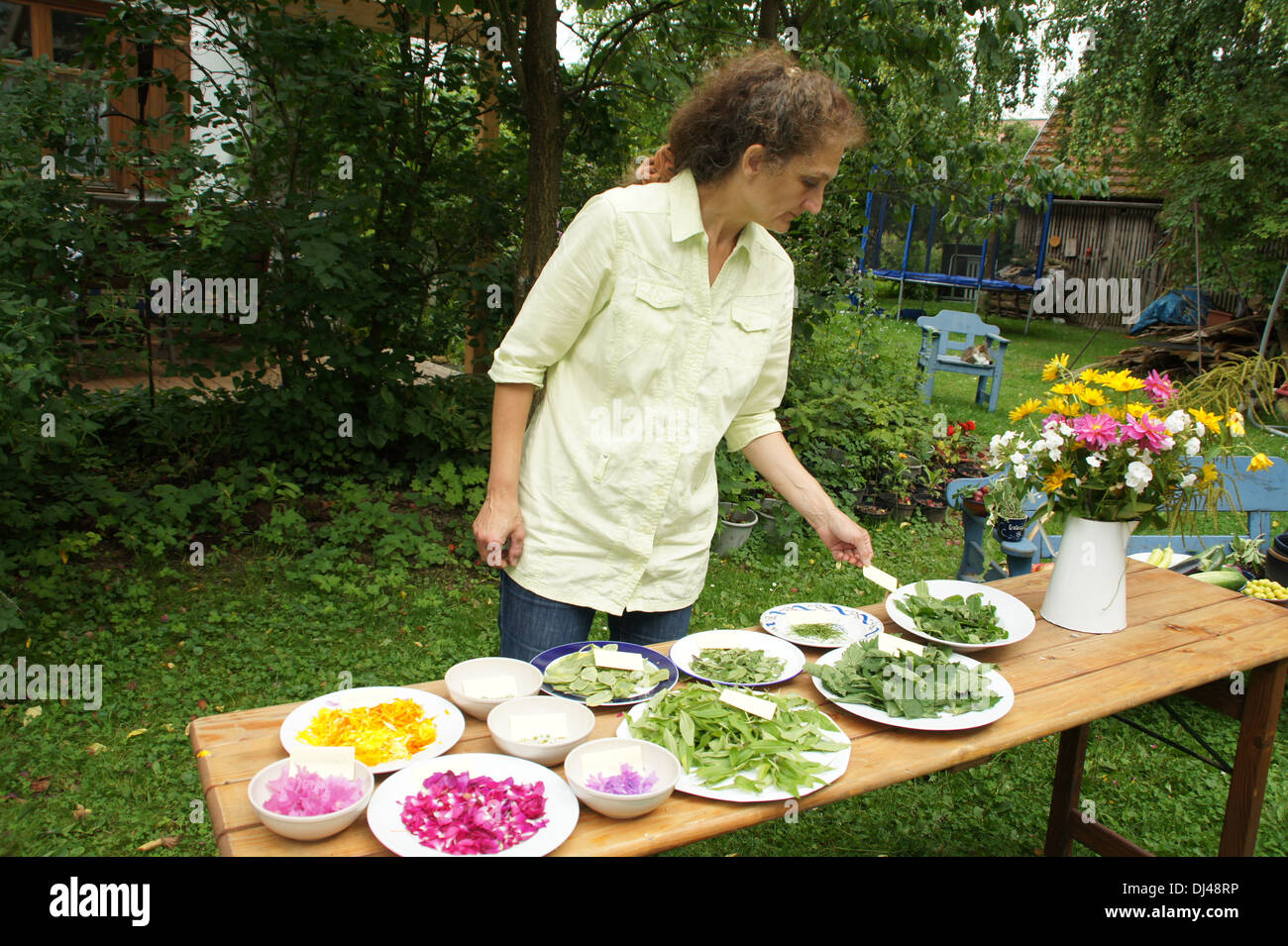 Culinary Flowers and Herbs Stock Photo
