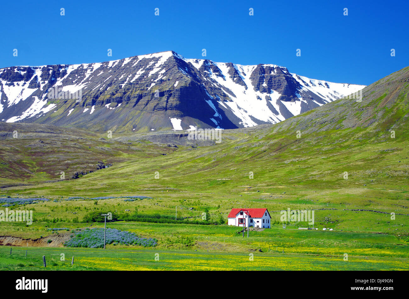 Green Valley south of Isafjördur Stock Photo