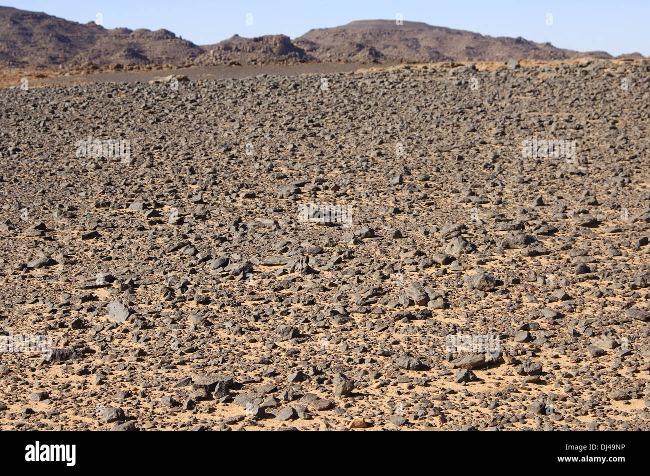 Barren Hamada Desert Landscape Sahara Stock Photo Alamy Barren Hamada Desert Landscape Sahara Stock Photo Alamy