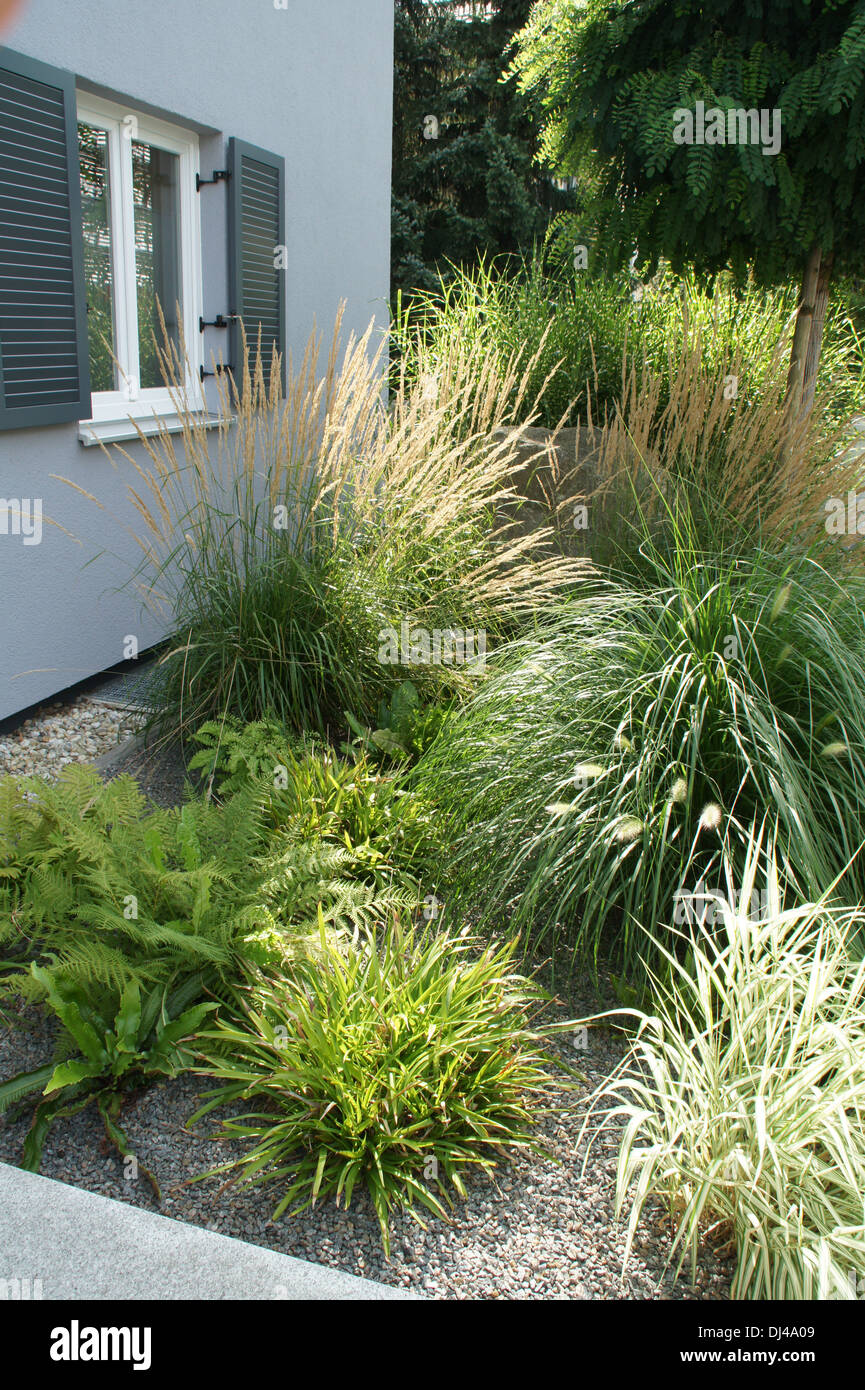 Gras hires stock photography and images Alamy