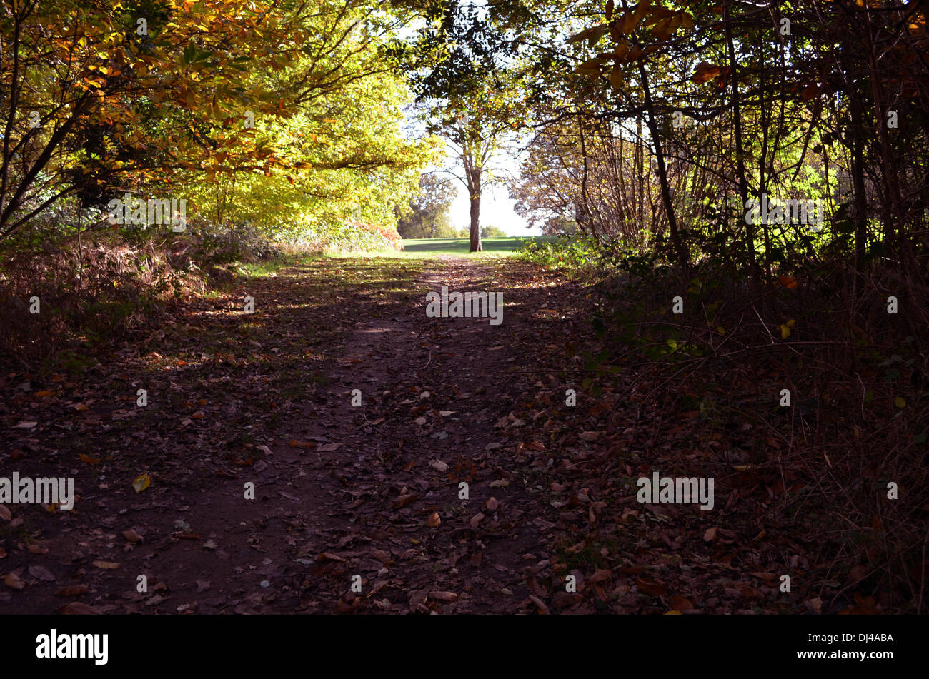 This popular walk is covered with the leaves of the trees in autumn. Autumn is the season of dark nights and heralds the winter Stock Photo