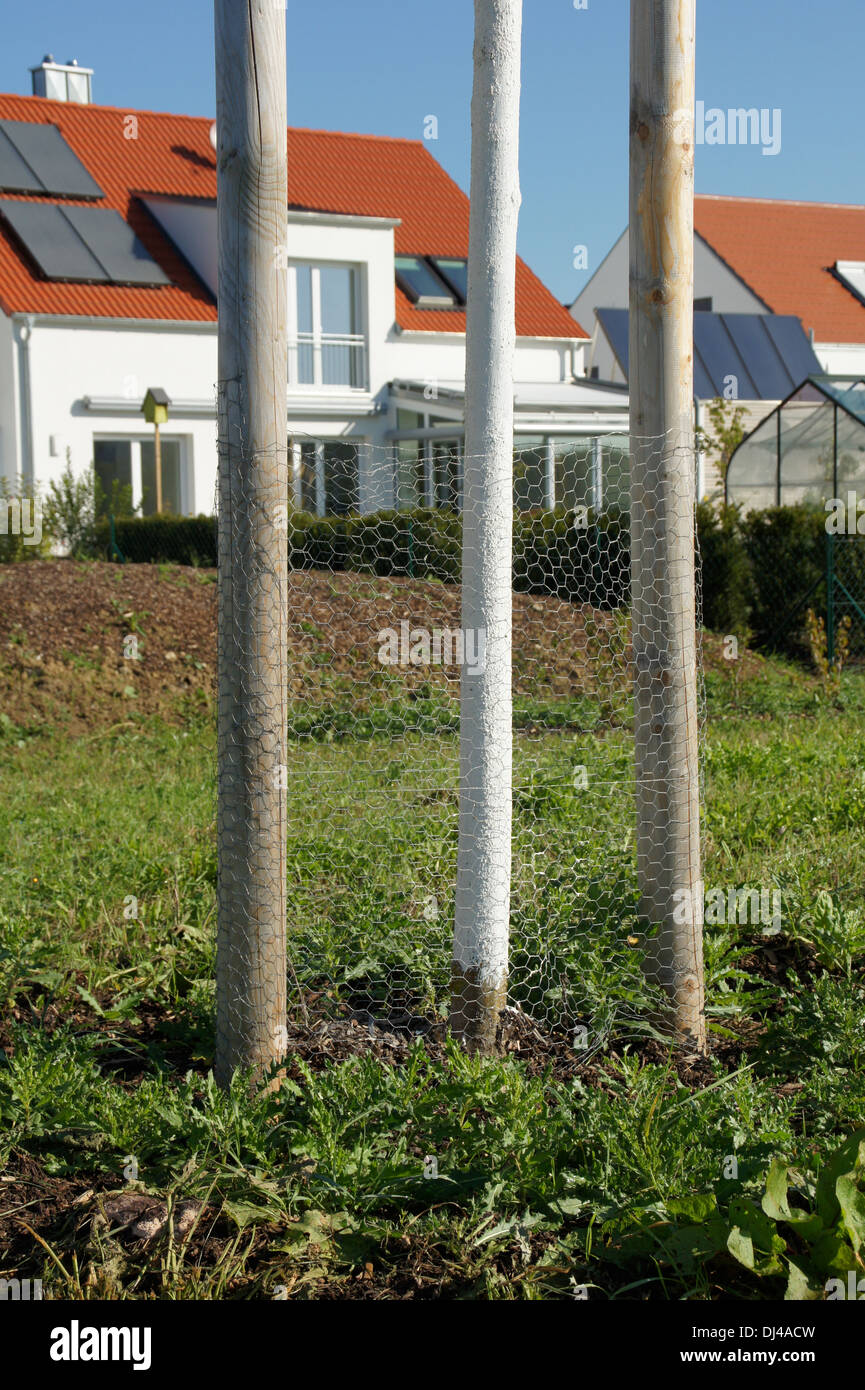 Bark-Protecting Stock Photo