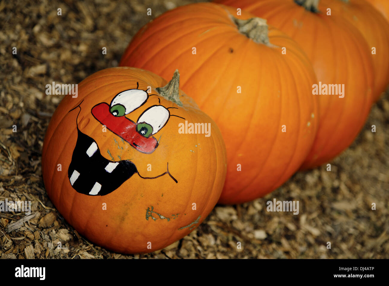 Snake out pumpkins with a face Stock Photo - Alamy