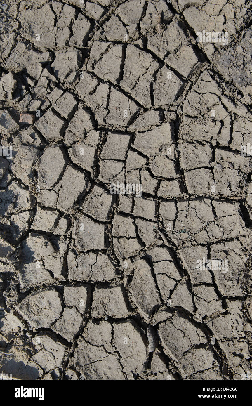 arid climate Stock Photo