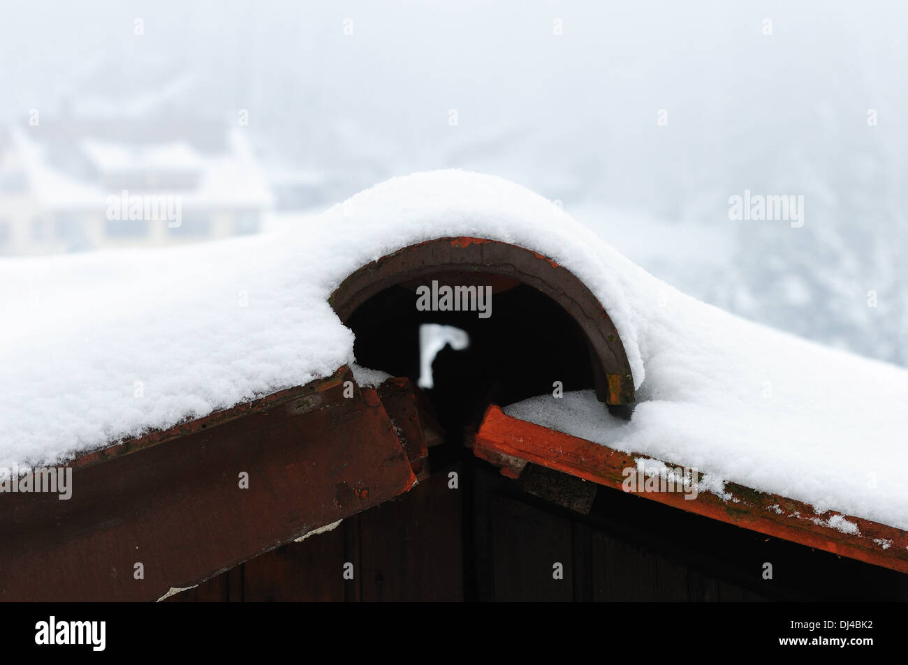 Snow on the roof tiles Stock Photo