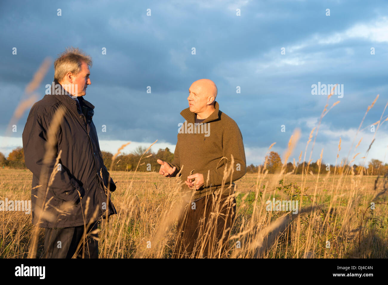 Timothy Rise Farm Barton lark rise farm hi-res stock photography and images - Alamy