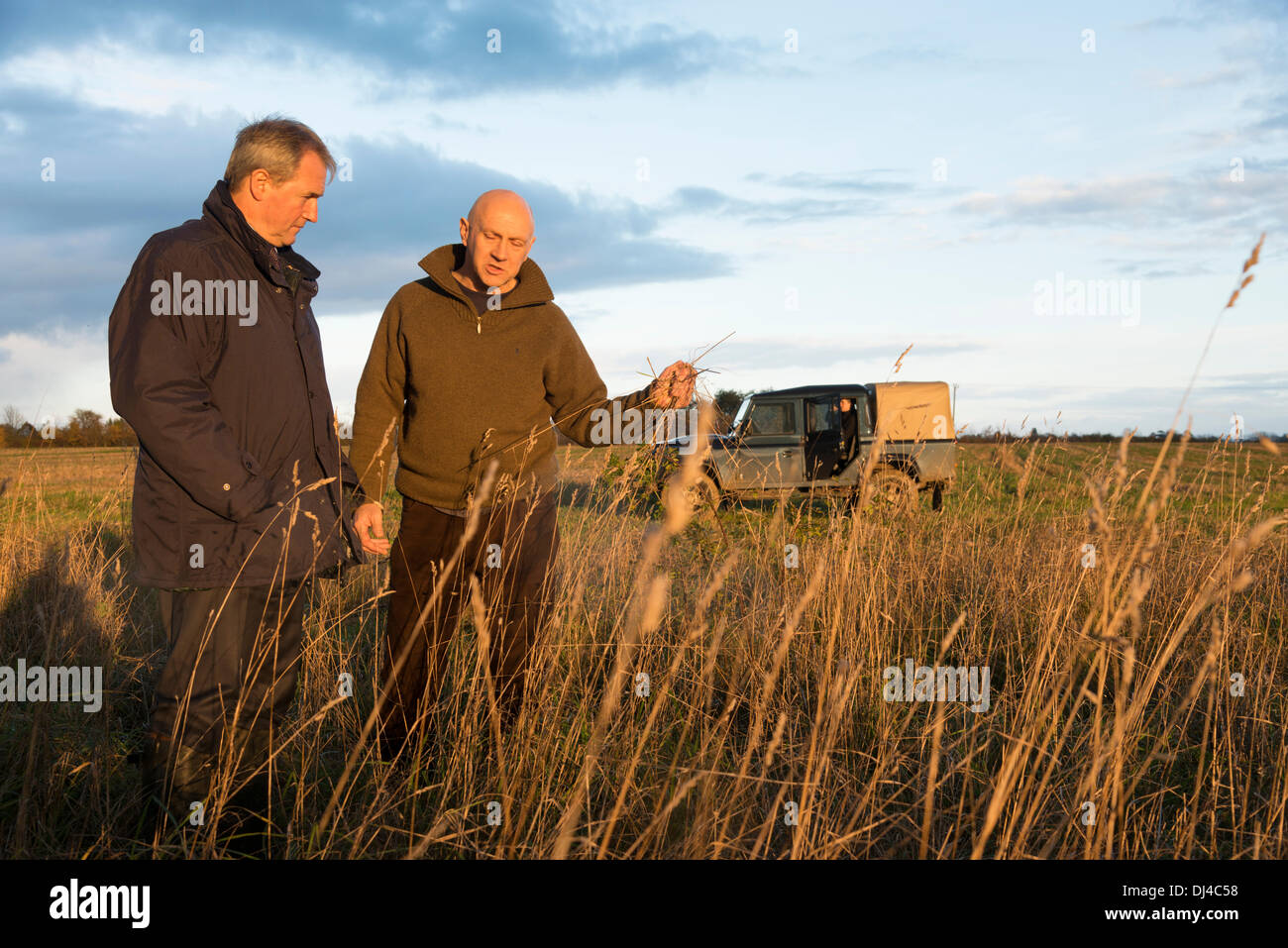Timothy Rise Farm Barton lark rise farm hi-res stock photography and images - Alamy