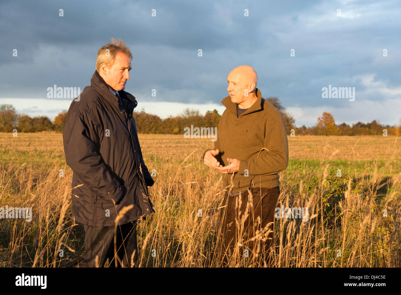 Lark Rise Farm,  Barton, Cambridge UK.  21st Nov, 2013.Owen Paterson MP,  Secretary of State for Environment, Food and Rural Affairs, visits Lark Rise Farm,  home of the Countryside Restoration Trust, Barton, Cambridge UK 21st November 2013. Farmer Tim Scott showed the Secretary of State around the farm before they met with Trust Founder and Chairman Robin Page. The Countryside Restoration Trust is a charity promoting wildlife-friendly farming and campaigning for a living, working countryside where commercial farming can co-exist with conservation. Credit Julian Eales/Alamy Live News Stock Photo
