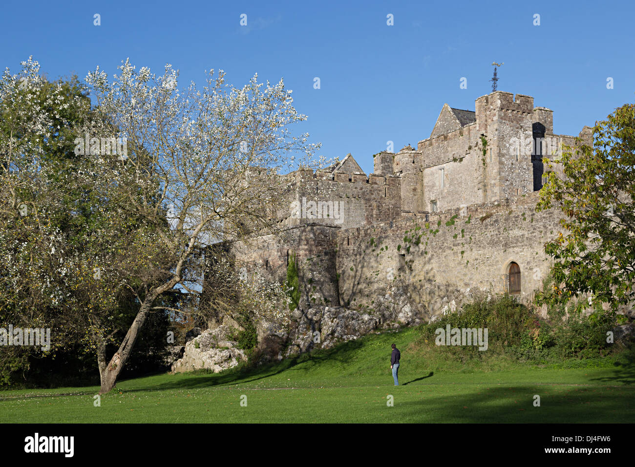 Ruined castle, Cahir, Co. Tipperary, Republic of Ireland Stock Photo