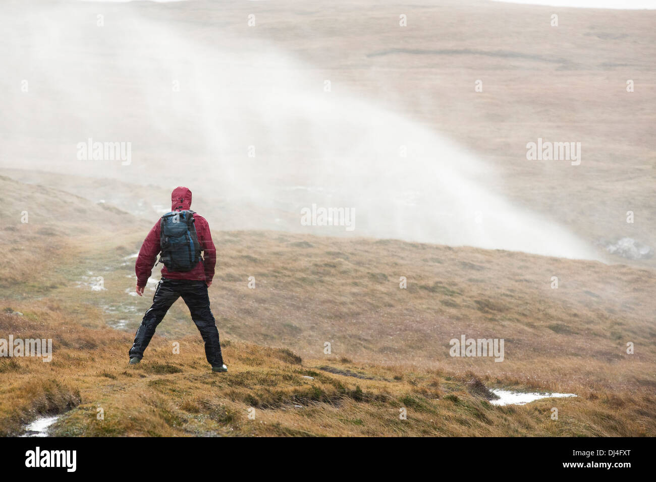 Moorland stream waterfalls on the coast at Stoer in Assynt, Scotland, UK, blowing uphill in storm force winds, with a walker struggling past and getting a soaking. Stock Photo