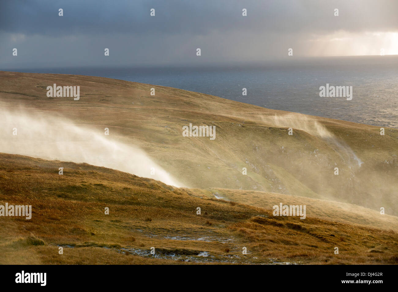 Moorland stream waterfalls on the coast at Stoer in Assynt, Scotland, UK, blowing uphill in storm force winds. Stock Photo