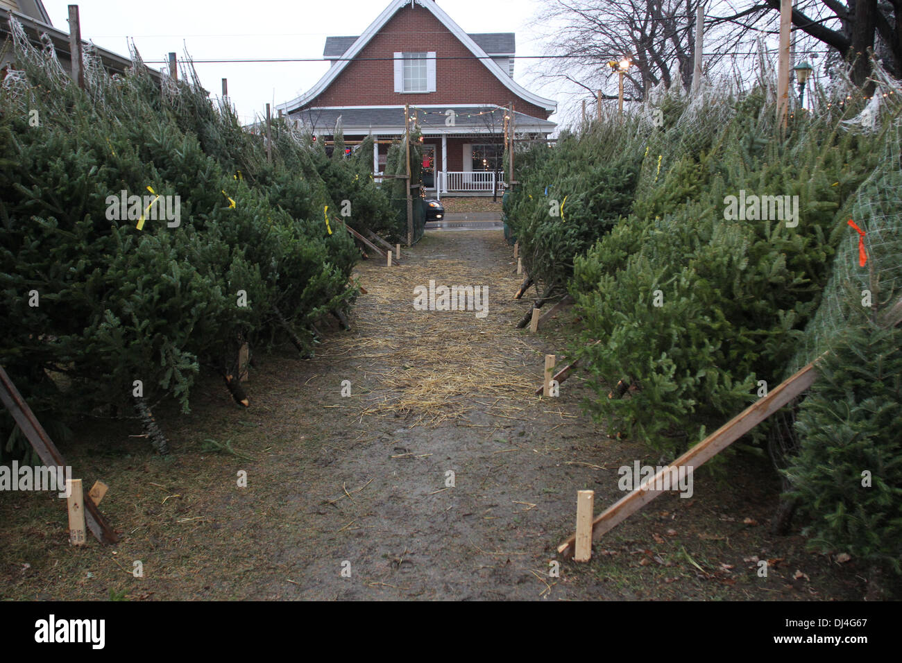 Secular christmas hires stock photography and images Alamy