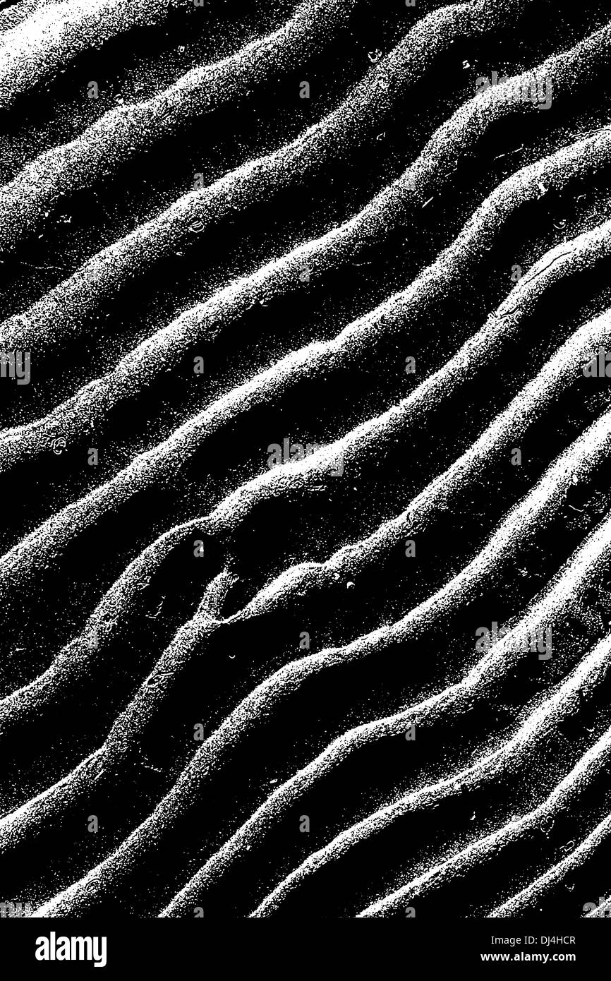 Pattern of ripples left in sand on a beach. Stock Photo