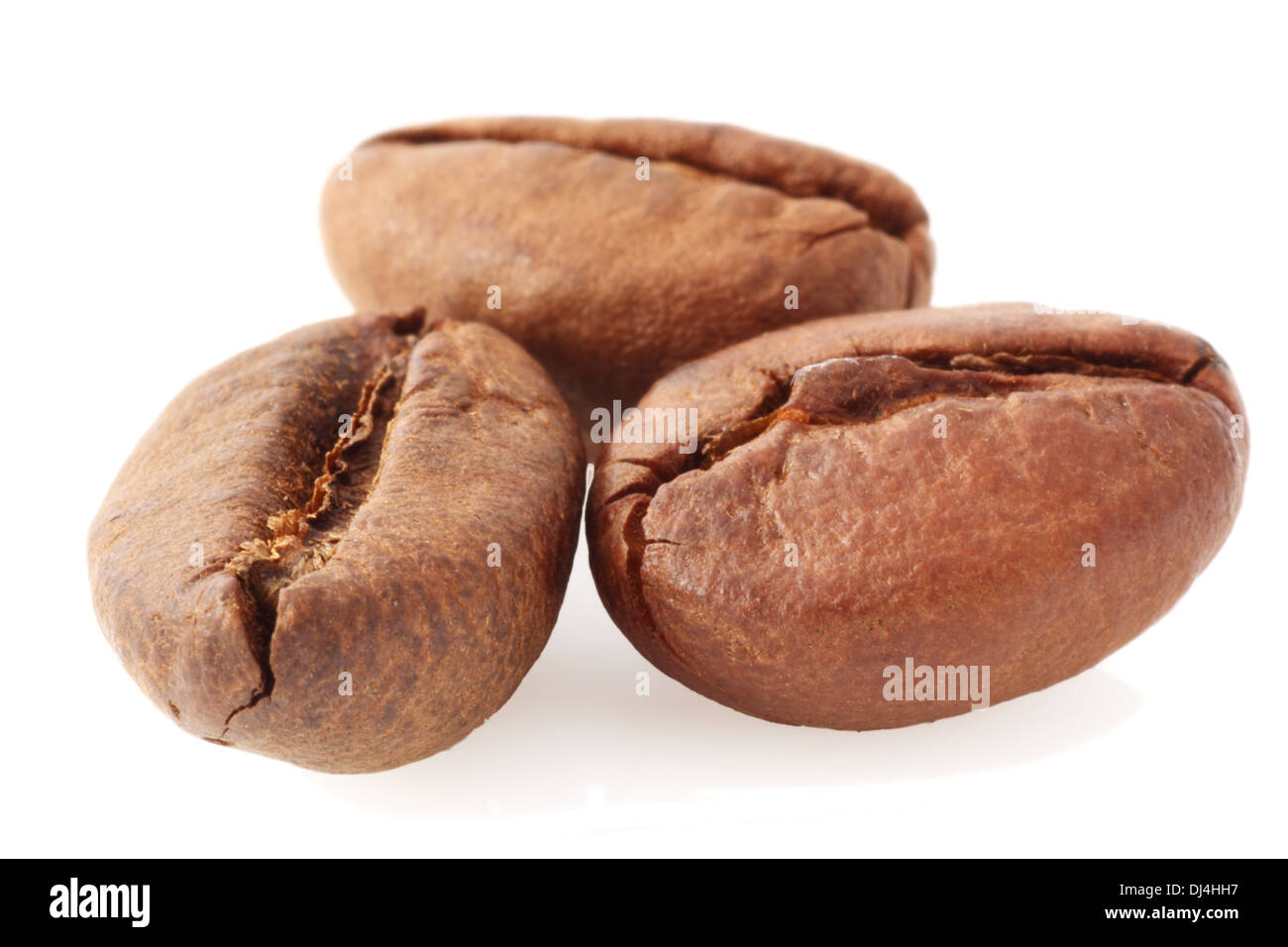 macro photo of three coffee grains Stock Photo