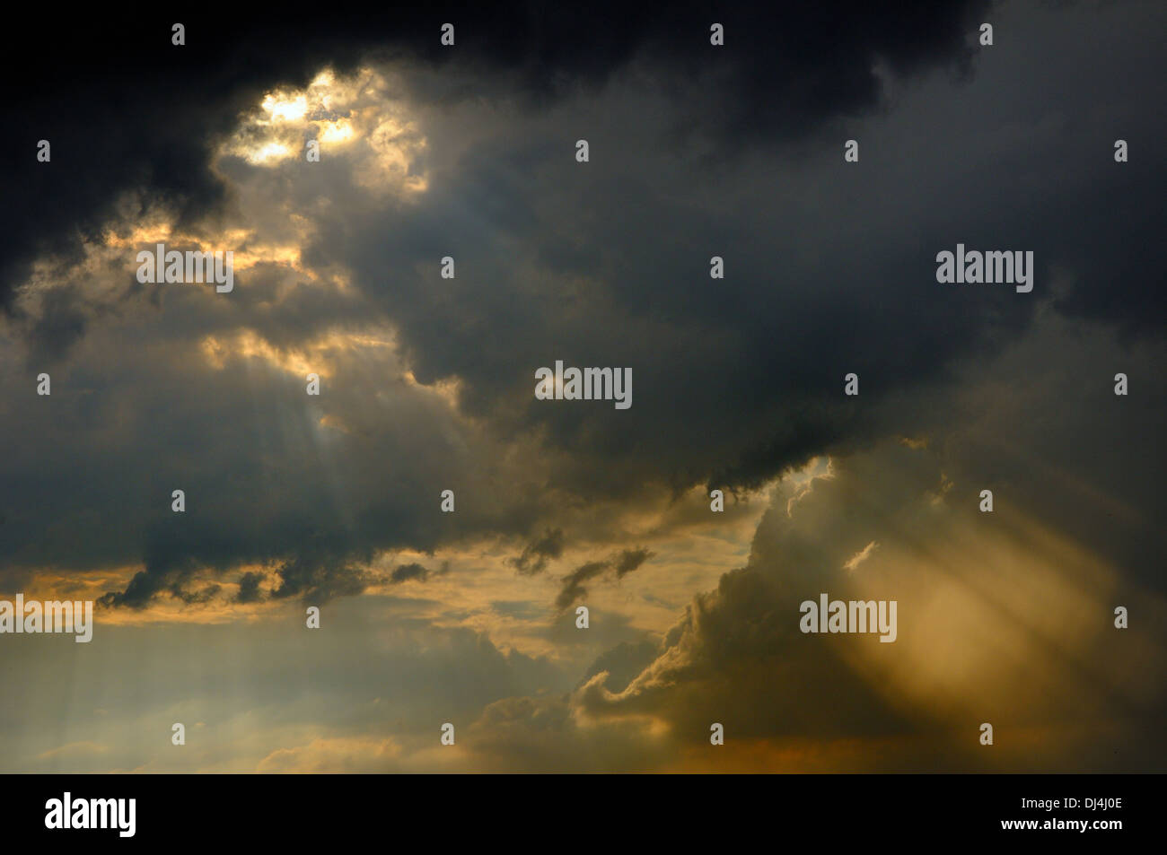 Sunlight Stock Photo