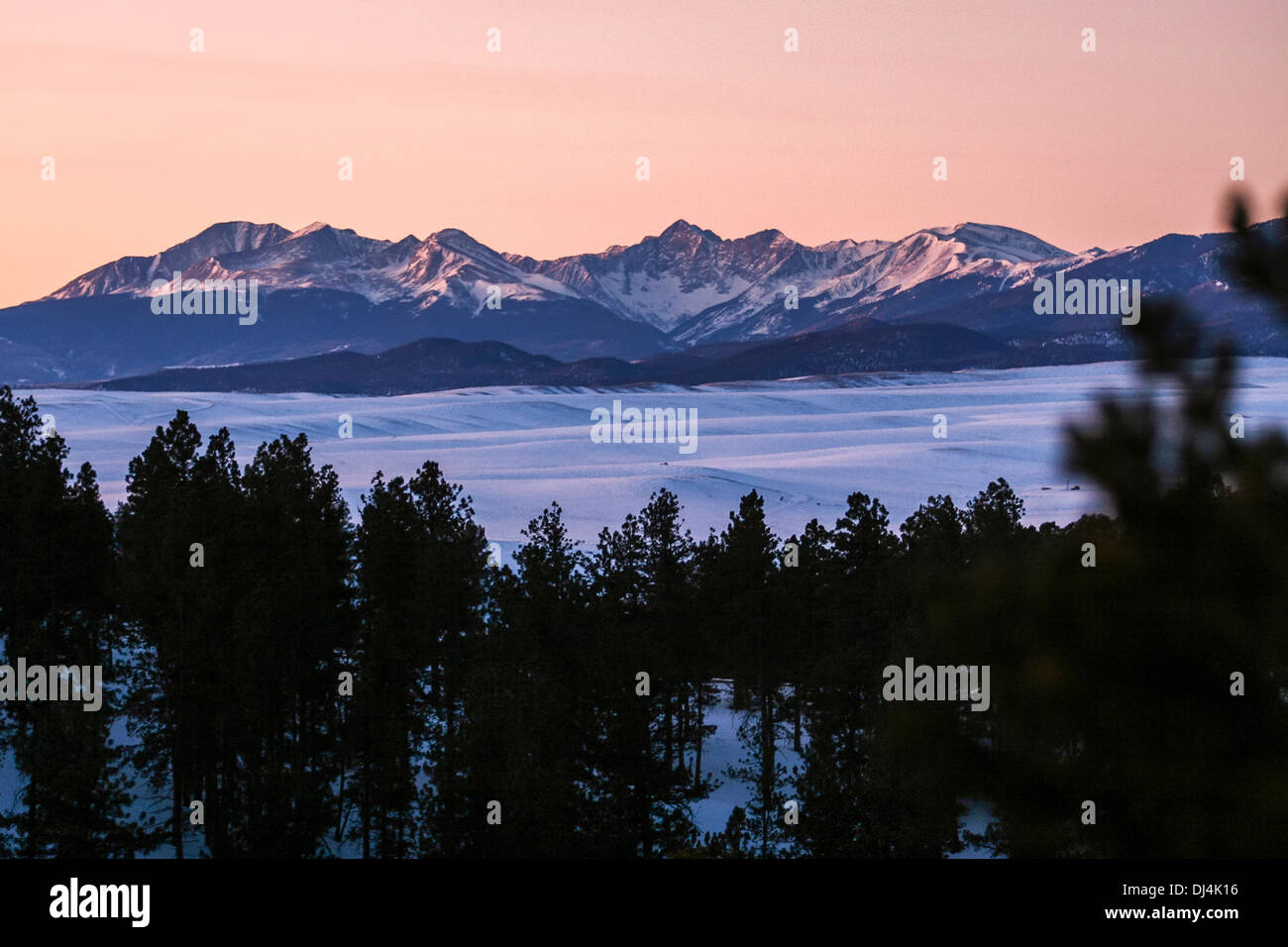 Majestic mountains pine trees hi-res stock photography and images - Alamy
