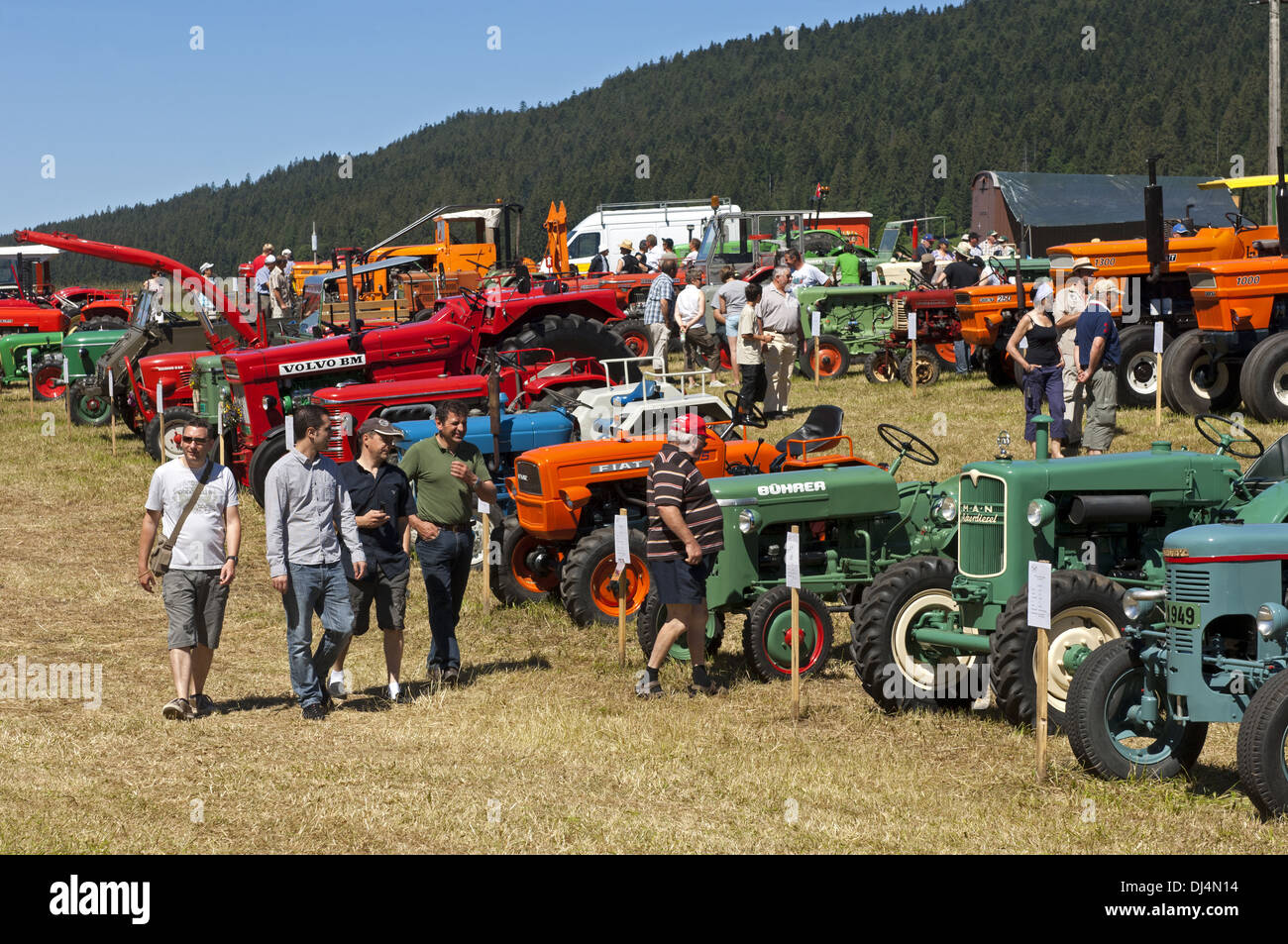 Tracto Mania, exhibition of veteran tractors Stock Photo