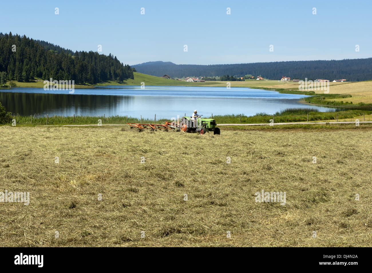 Farmer making hay at the Lac des Taillères Stock Photo