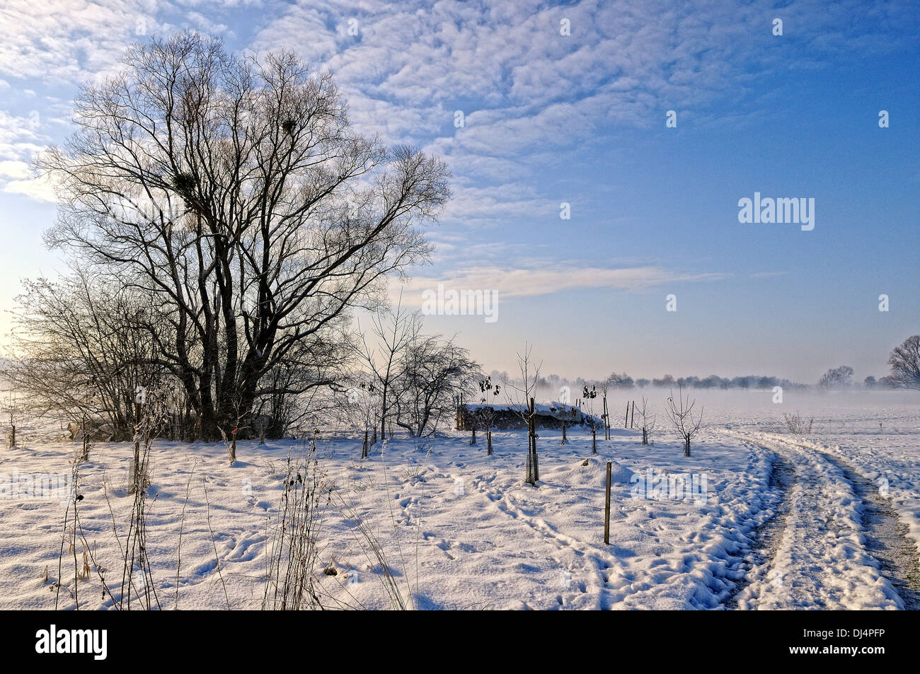 Through the snowy landscape Stock Photo