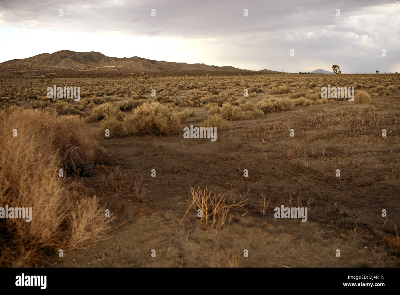 California Rural Landscape, USA. Desert in California. Landscapes Photo Collection. Stock Photo