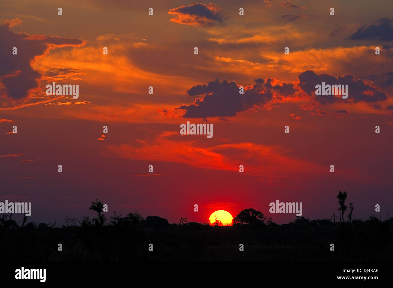 Sunset in the African savanna Stock Photo