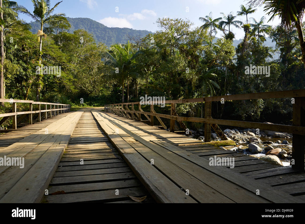 Wooden bridge in the Rainforest Stock Photo