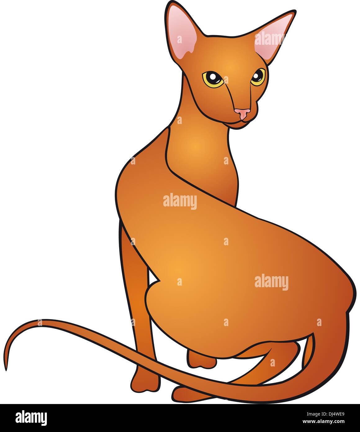 Orange Cat Illustration Stock Photo - Alamy