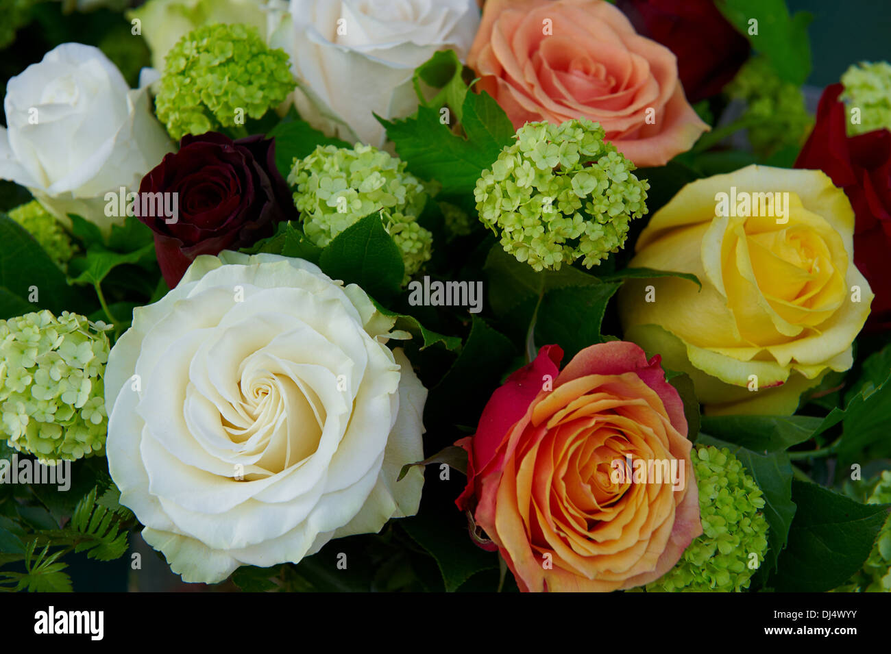 Bouquet of Roses Stock Photo - Alamy