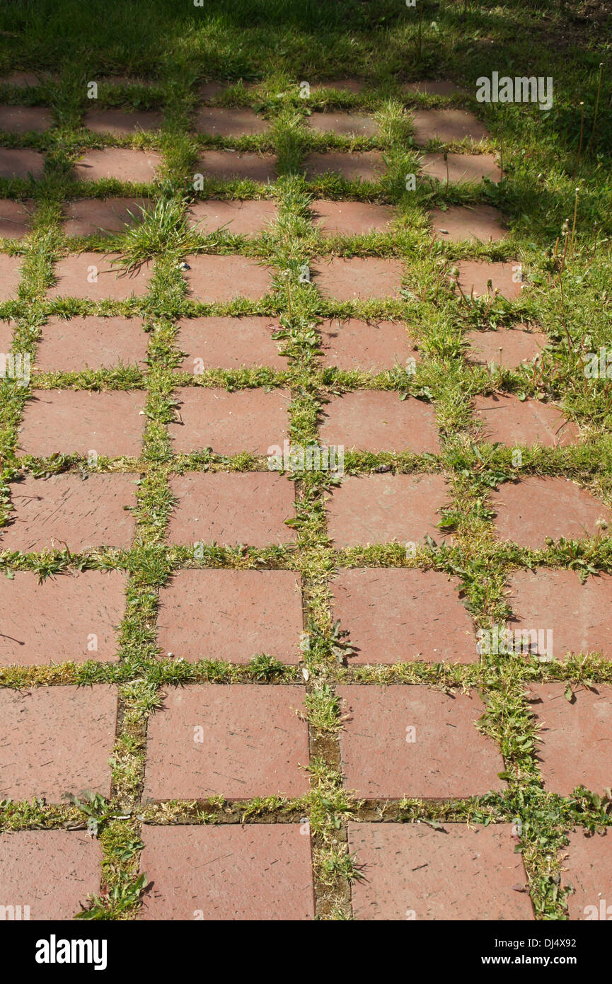 Bricked Way Stock Photo