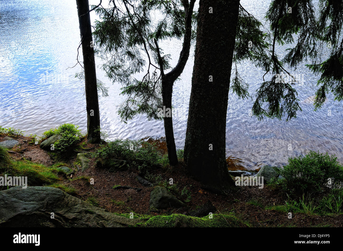 Banks Of Stones Hi Res Stock Photography And Images Alamy