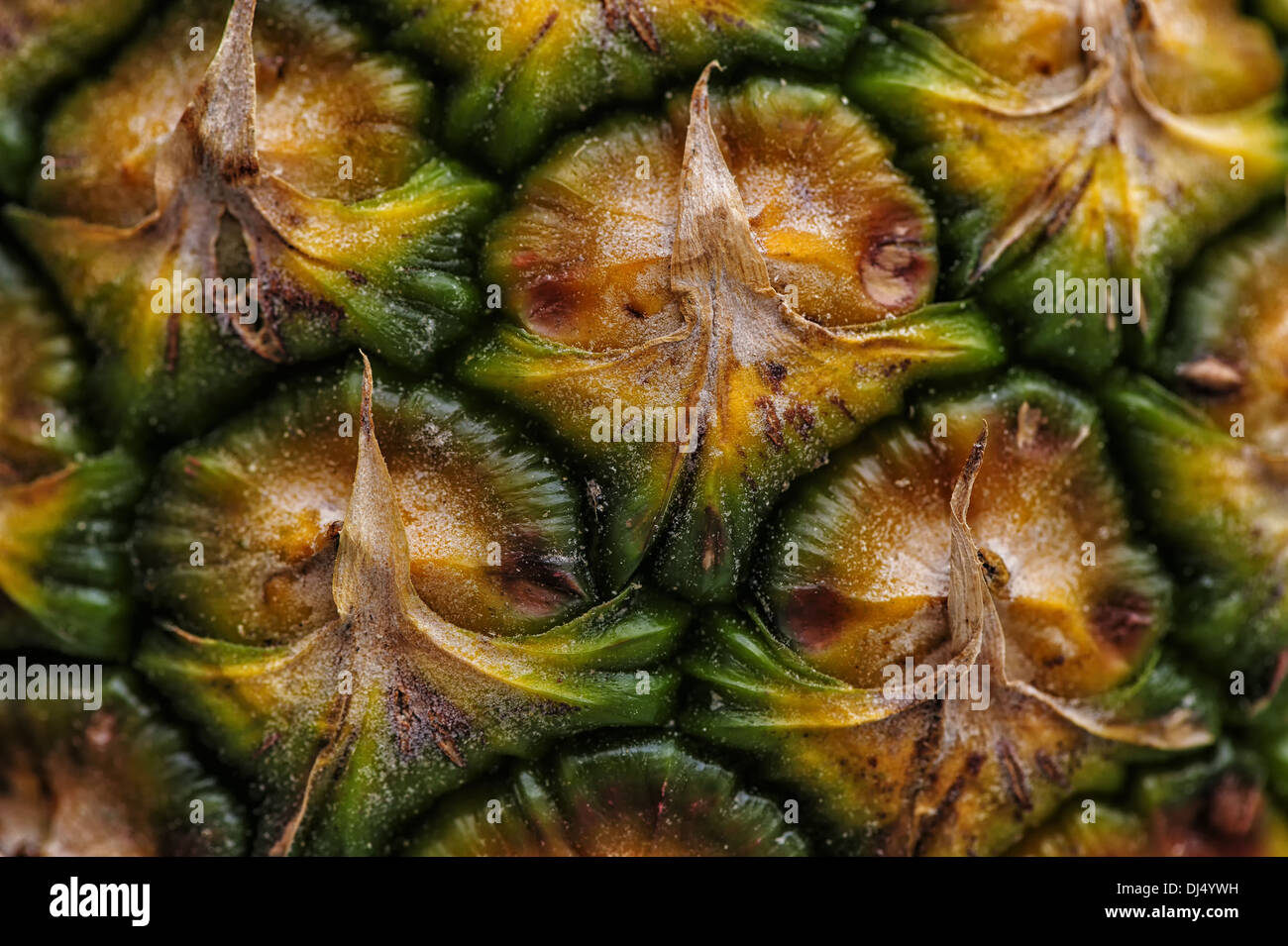 Detail of the skin of a ripe pineapple Stock Photo